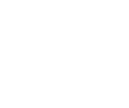 Vane Logo